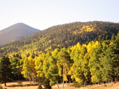 Fall In the Rockies Invigorates the Senses Image